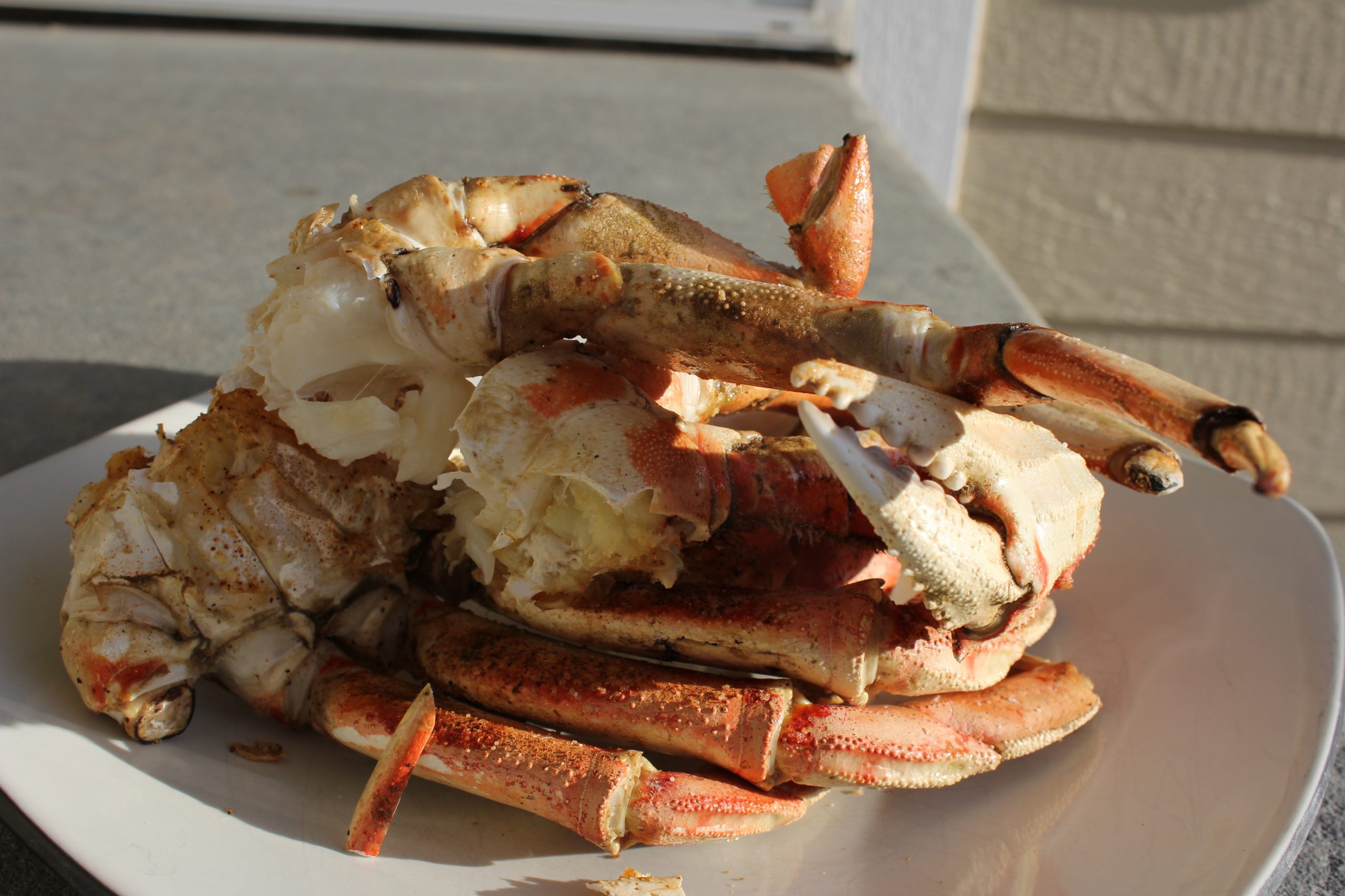 Learn how to cook dungeness crab