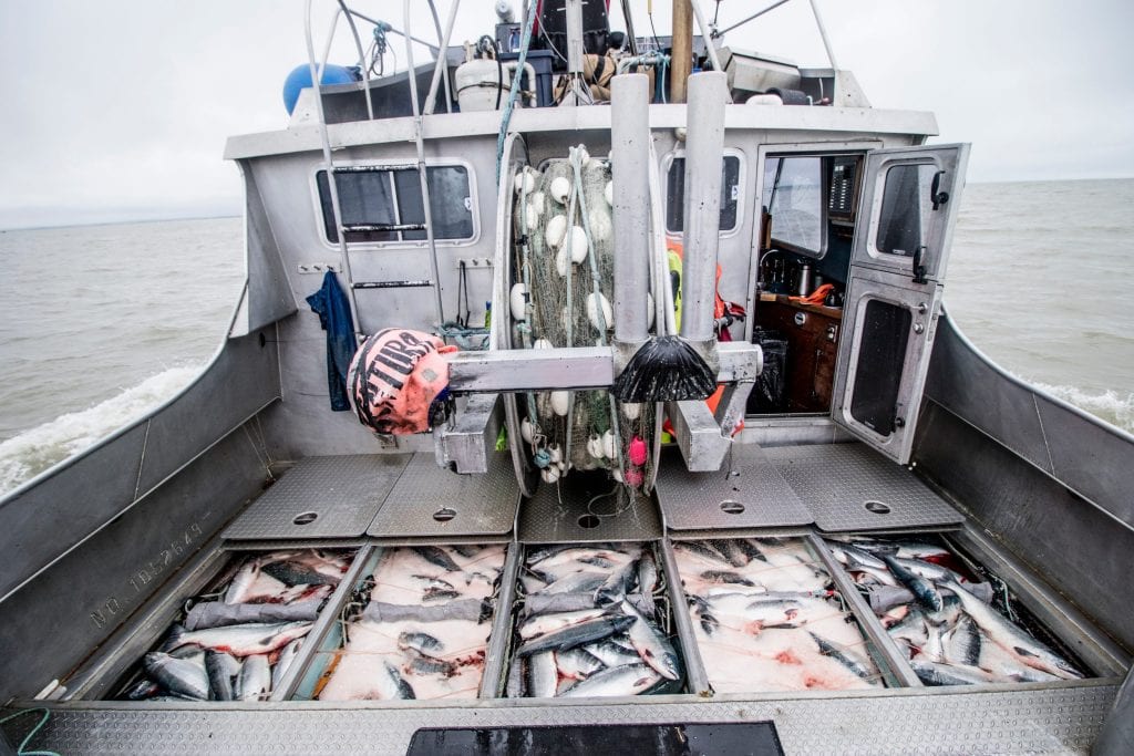 Alaska Seafood Harvesting and Processing